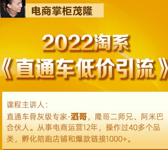 茂隆2022直通车低价引流玩法，教大家如何低投入高回报的直通车玩法-鱼梓小栈