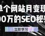 单个网站月变现100万的SEO秘密，百分百做出赚钱站点-鱼梓小栈