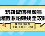 玩转微信视频号爆款涨粉赚钱全攻略，快速涨粉百万变现万元秘诀-鱼梓小栈