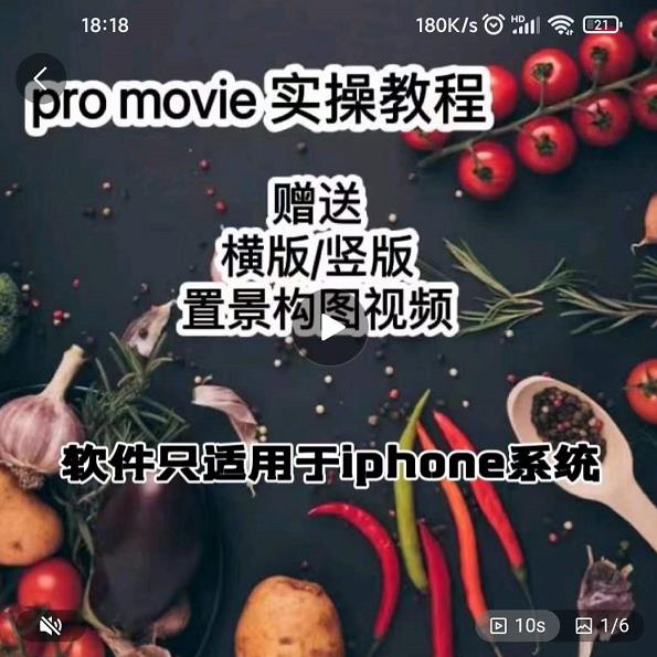 漆十二美食摄影，25​节promovie实操高手课节-鱼梓小栈