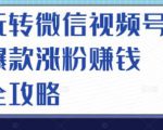 玩转微信视频号爆款涨粉赚钱全攻略,让你快速抓住流量风口,收获红利财富-鱼梓小栈