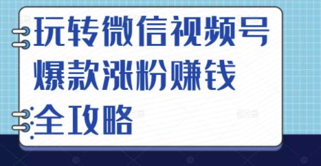 玩转微信视频号爆款涨粉赚钱全攻略，让你快速抓住流量风口，收获红利财富-鱼梓小栈