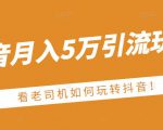 老古董·抖音月入5万引流玩法,看看老司机如何玩转抖音(附赠:抖音另类引流思路)-鱼梓小栈