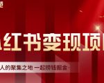 渣圈学苑·小红书虚拟资源变现项目,一起捞钱掘金价值1099元-鱼梓小栈