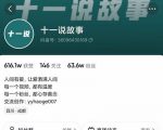 十一说故事·故事性中视频,观众快速共鸣从而快速变现的中视频玩法-鱼梓小栈