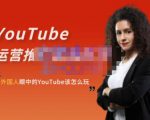 外国人眼中的YouTube该怎么玩？Elisa·YouTube运营推广实战技巧-鱼梓小栈