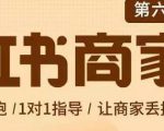 贾真-小红书商家营第6期商家版，21天带货陪跑课，让商家丢掉付流量-鱼梓小栈