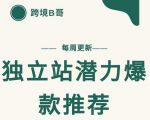 【跨境B哥】独立站潜力爆款选品推荐，测款出单率高达百分之80-鱼梓小栈