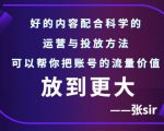 张sir账号流量增长课，告别海王流量，让你的流量更精准-鱼梓小栈