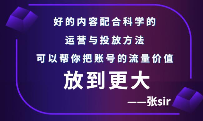 张sir账号流量增长课，告别海王流量，让你的流量更精准-鱼梓小栈