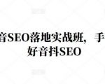 王通·抖音SEO落地实战班,手手带你做好音抖SEO-鱼梓小栈