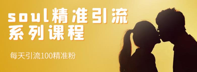 soul精准引流系列课程，每天引流100精准粉-鱼梓小栈