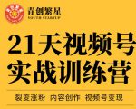 张萌21天视频号实战训练营，裂变涨粉、内容创作、视频号变现 价值298元-鱼梓小栈