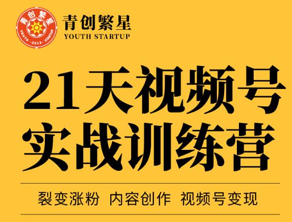 张萌21天视频号实战训练营，裂变涨粉、内容创作、视频号变现 价值298元-鱼梓小栈