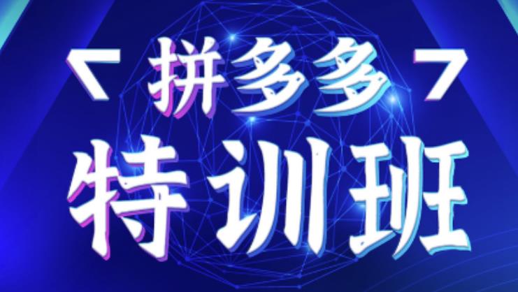 星雪教育·拼多多基础班+进阶班+突破班，用系统的学习模式快速改变现状价值3580元-鱼梓小栈