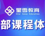 星雪教育淘系高级班，更全的运营提升方案，零基础由浅入深，店铺最新玩法-鱼梓小栈
