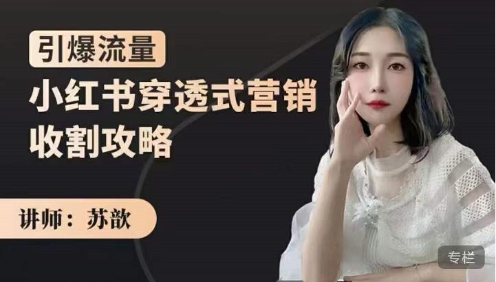 苏歆：小红书穿透式营销收割攻略，引爆流量，助你玩转小红书-鱼梓小栈