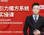 阿呆-引力魔方系统实操课，全体系实战教学，助你快速掌握推荐流量底层逻辑-鱼梓小栈