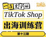 TikTokShop出海训练营（第十三期），打开全球流量新思维，出海抢占全球新流量，一店卖全球-鱼梓小栈