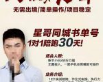 星哥同城教育书单号课程,无需出境简单操作项目稳定-鱼梓小栈