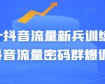 Peter抖音流量新兵训练营-破解抖音流量密码群爆训练营（新兵）-鱼梓小栈