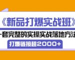 凌童《新品打爆实战班》,一套完整的实操实战落地方法，打爆链接超2000+（28节课)-鱼梓小栈