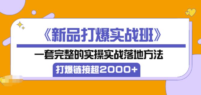 凌童《新品打爆实战班》,一套完整的实操实战落地方法，打爆链接超2000+（28节课)-鱼梓小栈