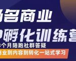 杨名商业IP孵化训练营，从商业到内容到转化一站式学 价值5980元-鱼梓小栈