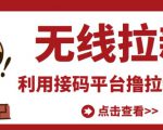 最新接码无限拉新项目，利用接码平台赚拉新平台差价，轻松日赚500+-鱼梓小栈