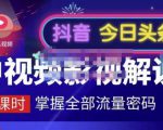 嚴如意·中视频影视解说—掌握流量密码,自媒体运营创收,批量运营账号-鱼梓小栈