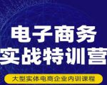 民赛电气内部出品:电子商务实战特训营,全方位带你入门电商,308种方式玩转电商-鱼梓小栈