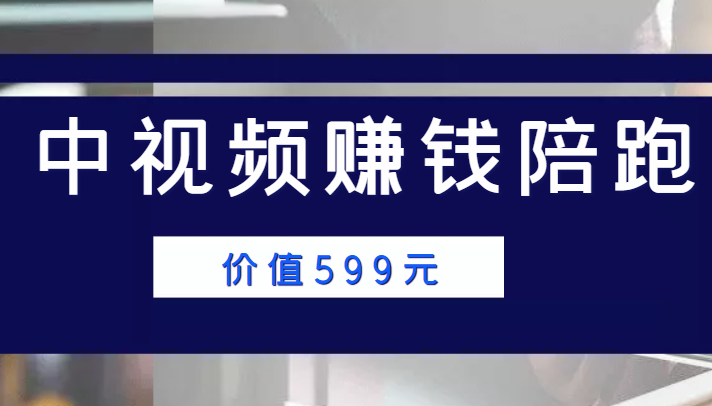 中视频赚钱陪跑，卖中视频账户赚钱收益陪跑项目（价值599元）-鱼梓小栈