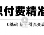 玩转知识付费项目精准引流，给你1套课多账号操作落地方案！-鱼梓小栈