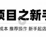 虚拟项目快速起店模式，0成本打造月入几万虚拟店铺！-鱼梓小栈