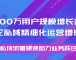 8000万用户规模增长方法论私域精细化运营增长，私域流量硬课助力业务跃迁-鱼梓小栈
