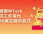 利用正规的MTurk微型众包工作平台，月赚1100美元的小技巧-鱼梓小栈