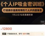 个人IP吸金密训班，打造高价值高效率的个人IP内容体系（价值12800元）-鱼梓小栈