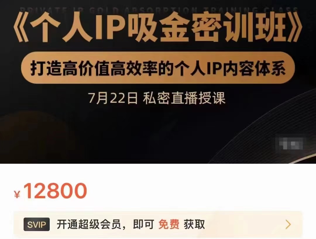 个人IP吸金密训班，打造高价值高效率的个人IP内容体系（价值12800元）-鱼梓小栈