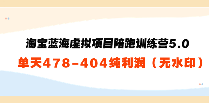 淘宝蓝海虚拟项目陪跑训练营5.0：单天478纯利润-鱼梓小栈