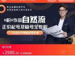 0粉0作品自然流正价起号及稳号全教程，专业自然流起号机构流程化教学（价值2980元）-鱼梓小栈