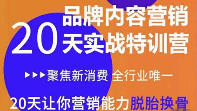 《内容营销实操特训营》20天让你营销能力脱胎换骨（价值3999）-鱼梓小栈