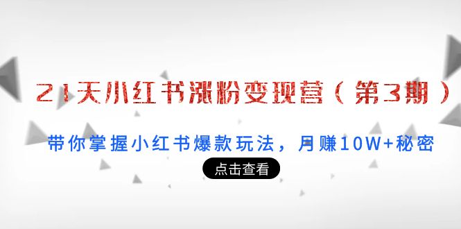 21天小红书涨粉变现营（第3期）：带你掌握小红书爆款玩法，月赚10W+秘密-鱼梓小栈