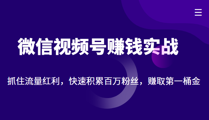 微信视频号赚钱实战：抓住流量红利，快速积累百万粉丝，赚取你的第一桶金-鱼梓小栈