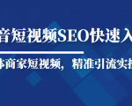 抖音短视频Seo搜索排名优化新手快速入门教程,实体商家短视频,精准引流实操课-鱼梓小栈