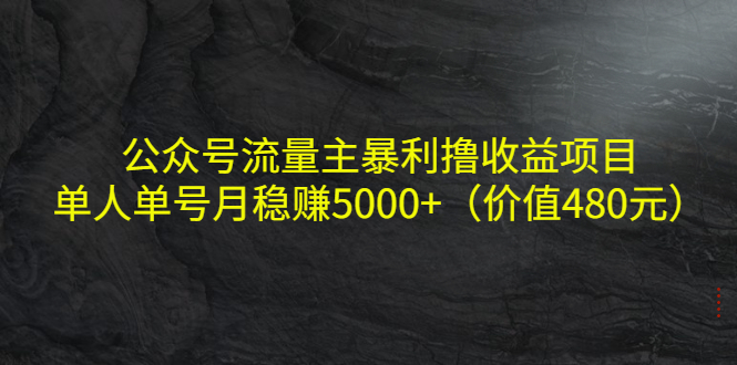 公众号流量主暴利撸收益项目，单人单号月稳赚5000+（价值480元）-鱼梓小栈