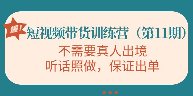 视频带货训练营，不需要真人出境，听话照做，保证出单（第11期）-鱼梓小栈