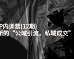 新媒体IP内训营(12期)，一套全新的“公域引流，私域成交”IP打法，直接带走-鱼梓小栈