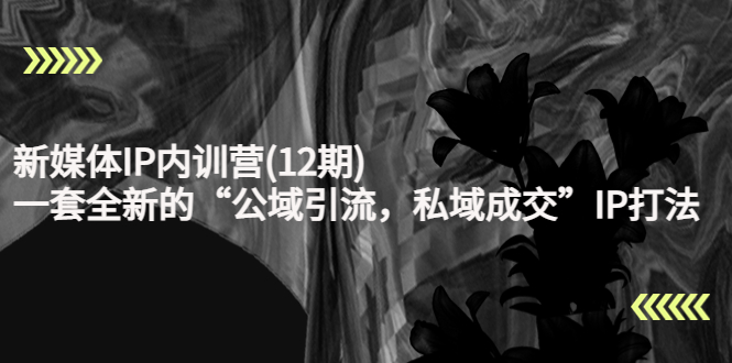 新媒体IP内训营(12期)，一套全新的“公域引流，私域成交”IP打法，直接带走-鱼梓小栈