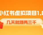 《小红书虚拟项目1.0》账号注册+养号+视频制作+引流+变现，几天就赚两三千-鱼梓小栈