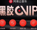 网易云音乐撸黑胶年卡及变现方法,收益可无限放大-鱼梓小栈
